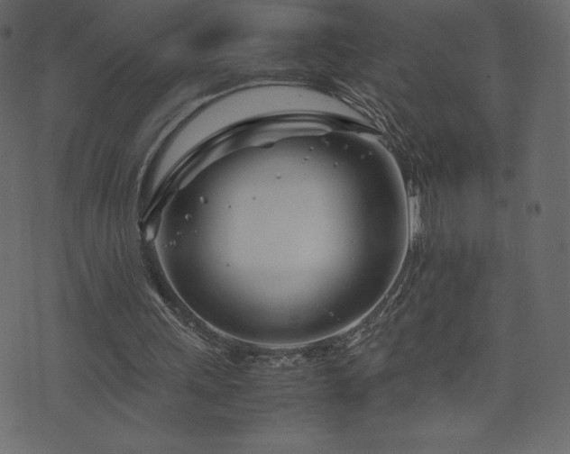X0000074330243200608251333