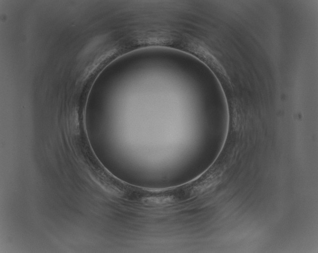 X0000074330251200608251333