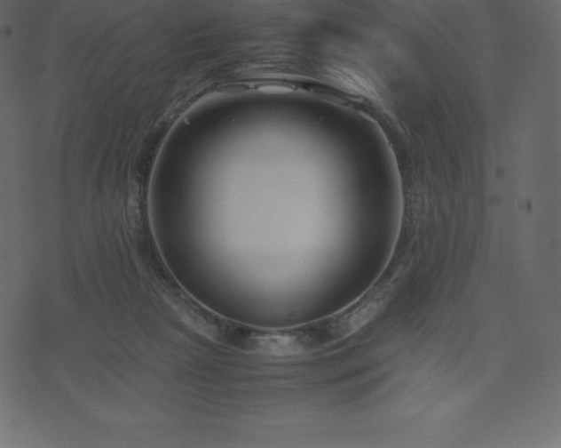 X0000074330265200608251333
