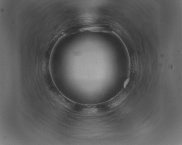 X0000074330266200608251333