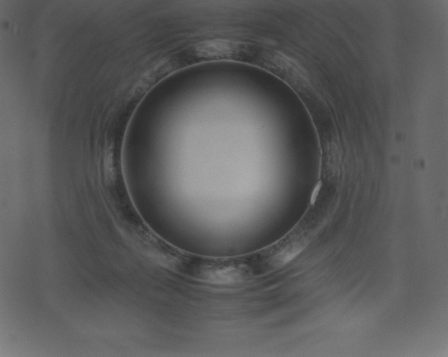 X0000074330267200608251333
