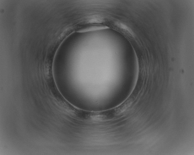 X0000074330268200608251333