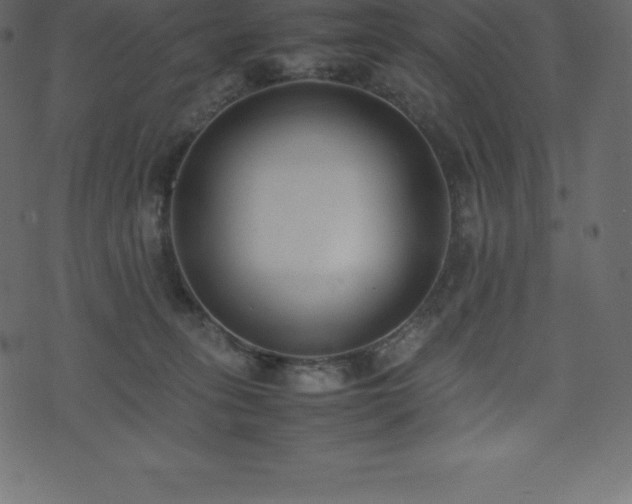 X0000074330275200608251333