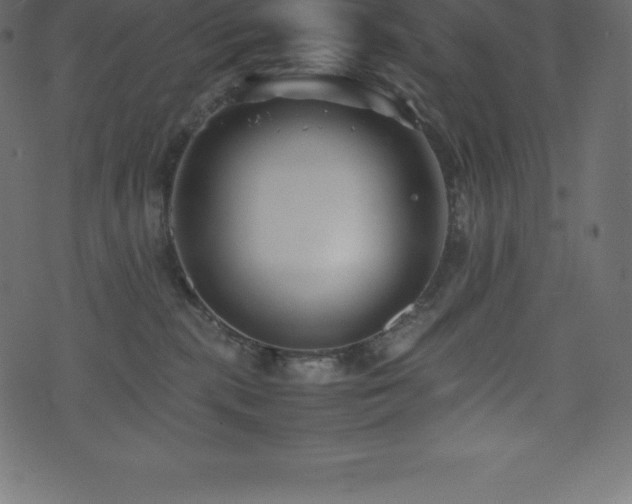 X0000074330283200608251333
