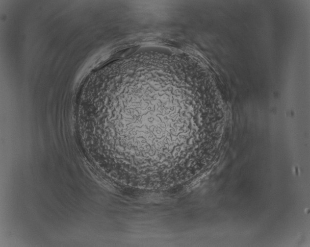 X0000074330293200608251333