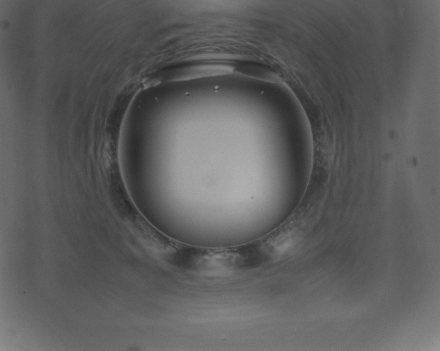 X0000074330323200608251332