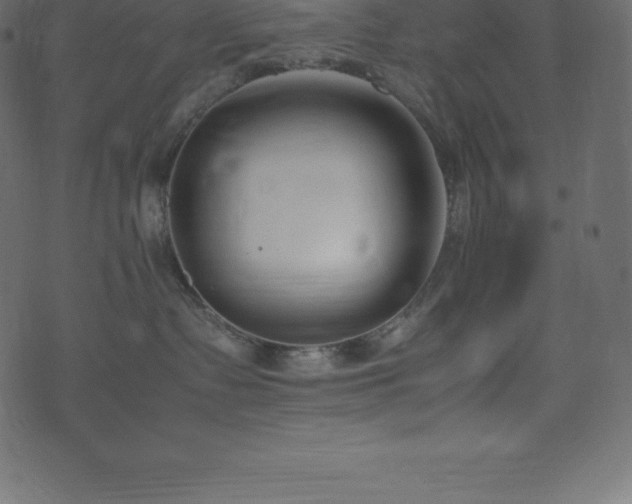 X0000074330335200608251332