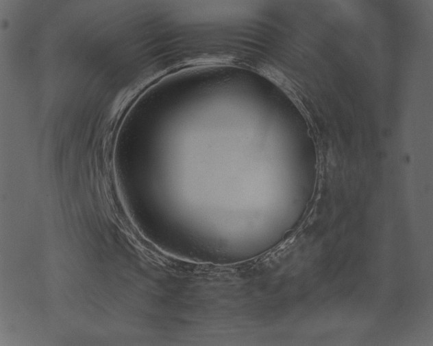 X0000074330337200608251331