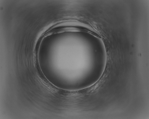 X0000074330342200608251331