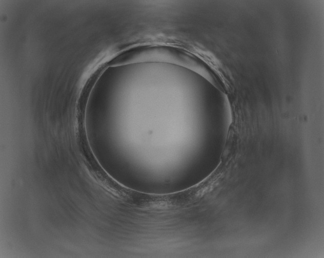 X0000074330344200608251331