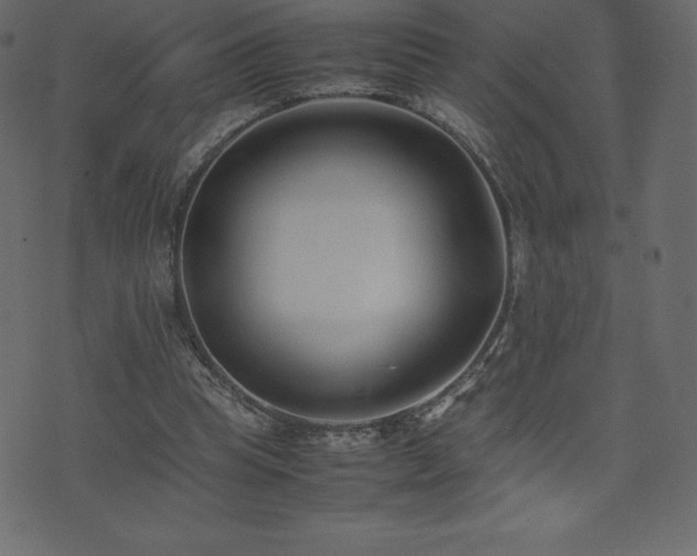 X0000074330345200608251331