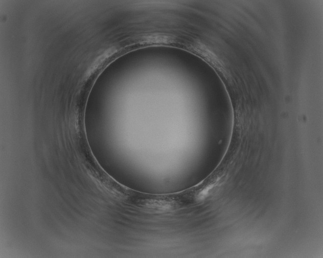 X0000074330347200608251331