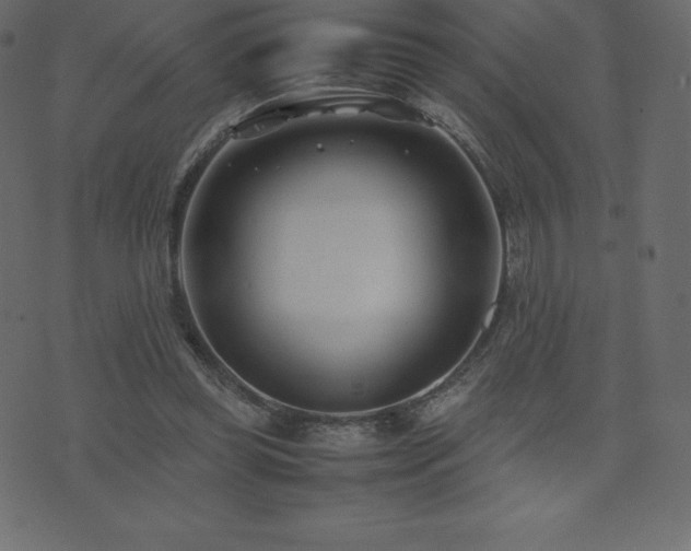 X0000074330349200608251331