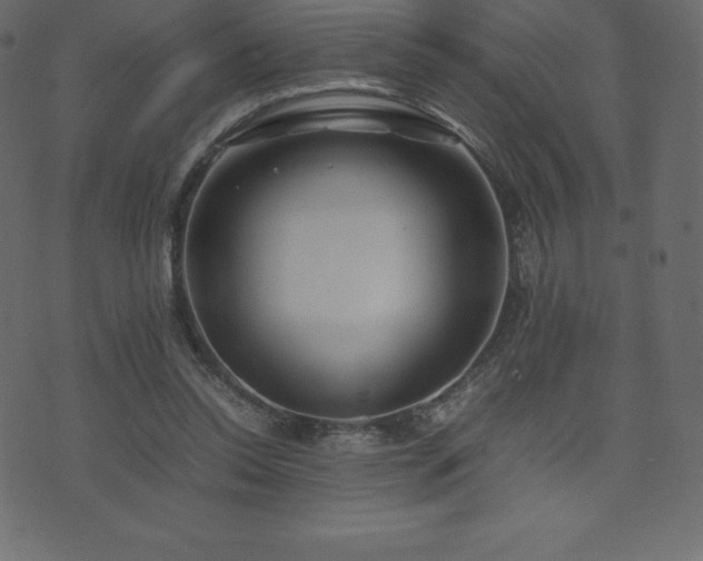 X0000074330350200608251331