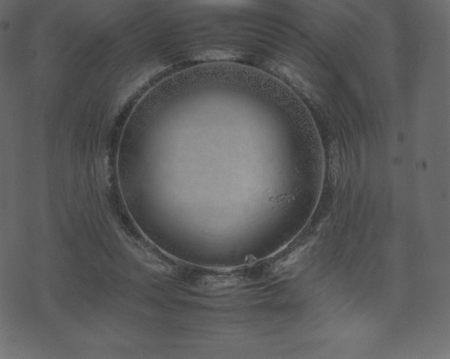 X0000074330351200608251331