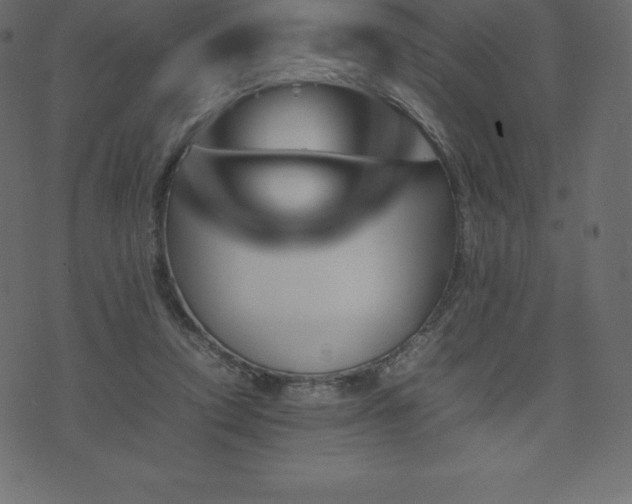 X0000074330354200608251331