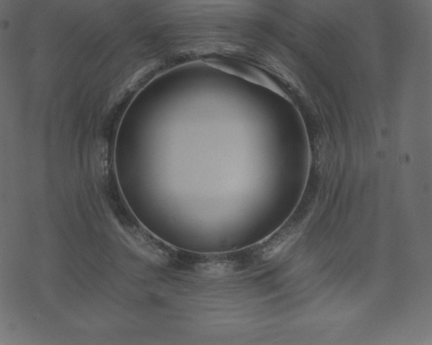 X0000074330356200608251331