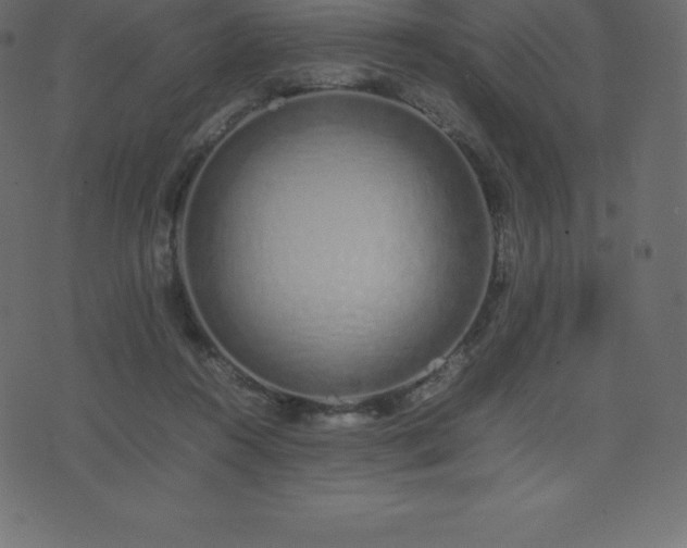 X0000074330360200608251332