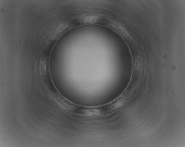 X0000074330363200608251332