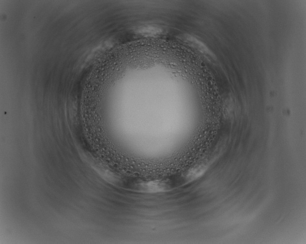 X0000074330365200608251332