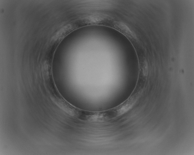 X0000074330366200608251332
