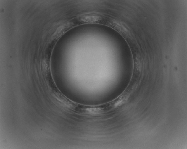X0000074330371200608251332