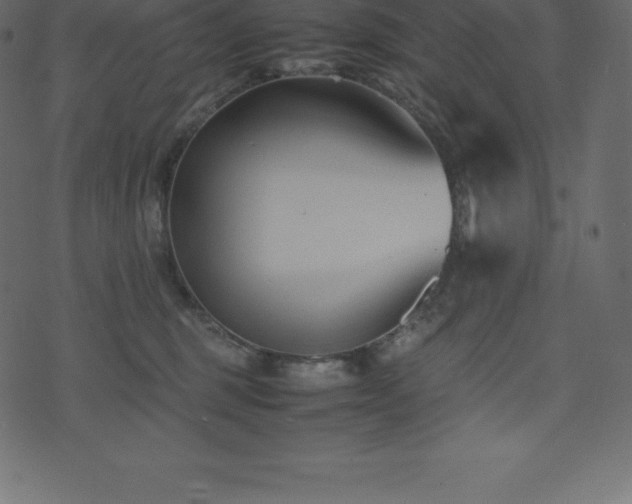 X0000074330375200608251332