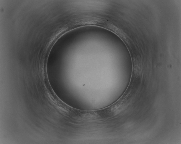 X0000074330386200608251331
