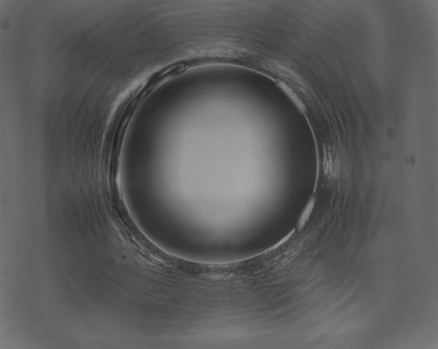 X0000074330388200608251331