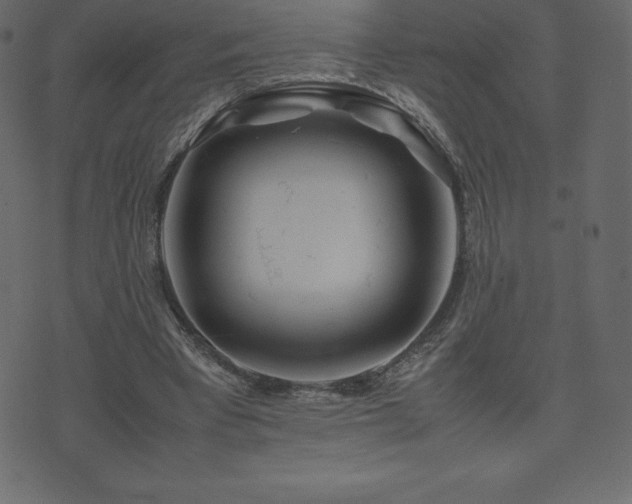 X0000074330393200608251331