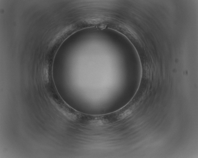 X0000074330404200608251331