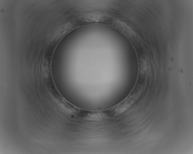 X0000074330414200608251331
