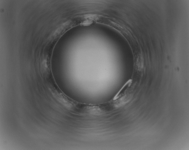 X0000074330424200608251330