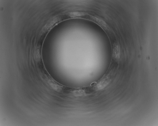 X0000074330426200608251330