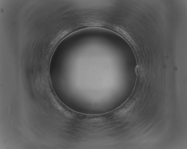 X0000074330433200608251330