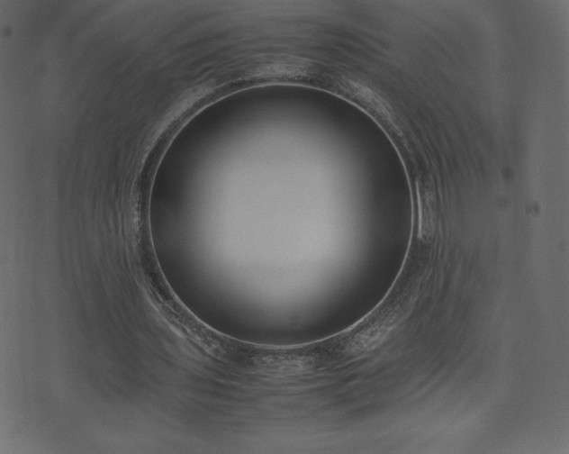 X0000074330435200608251330