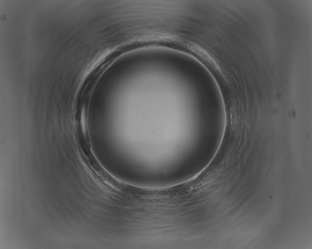 X0000074330436200608251330