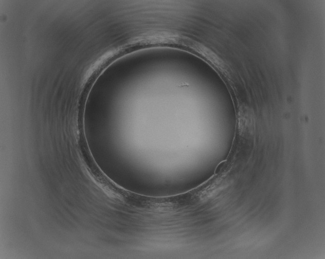 X0000074330438200608251330