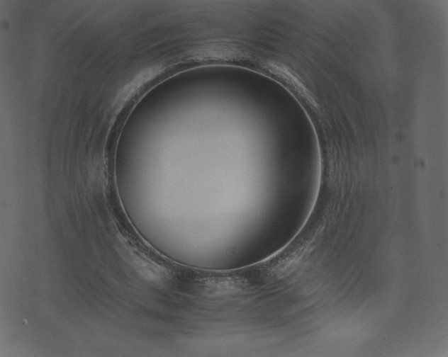 X0000074330439200608251330