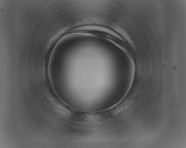 X0000074330442200608251330