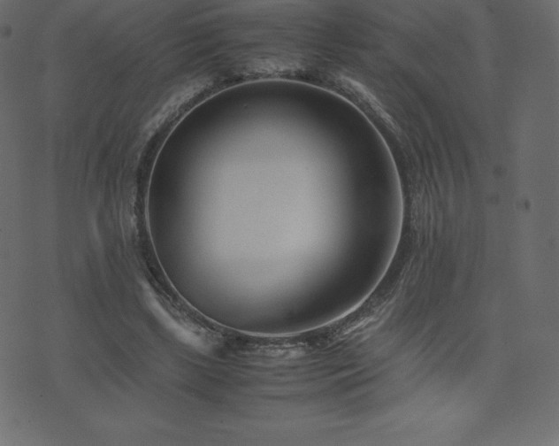X0000074330443200608251330