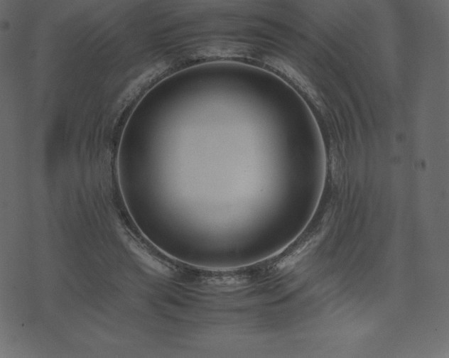 X0000074330445200608251330