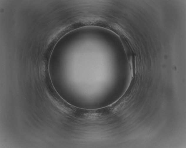 X0000074330448200608251330