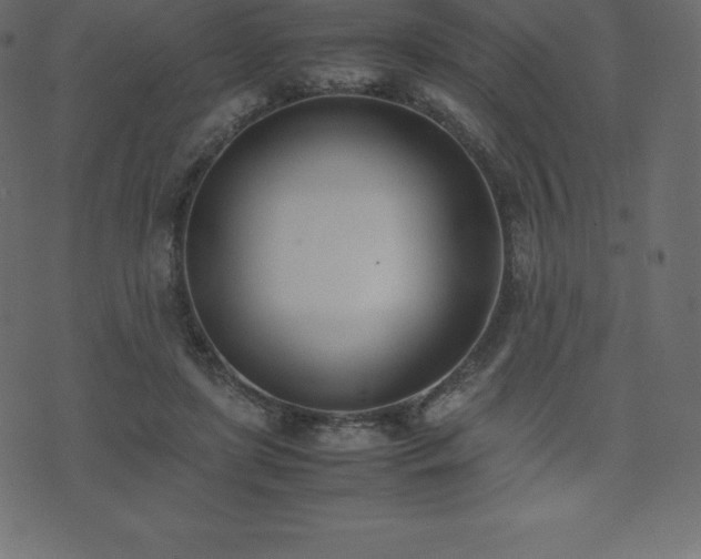 X0000074330451200608251330