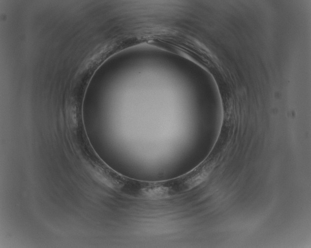 X0000074330452200608251330