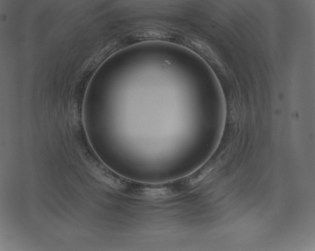 X0000074330457200608251330