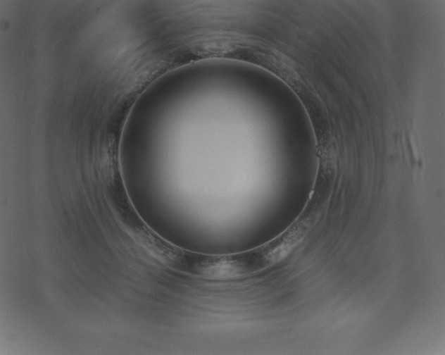 X0000074330460200608251330