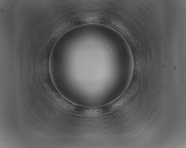 X0000074330461200608251330