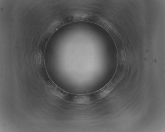 X0000074330463200608251330