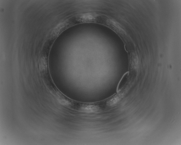 X0000074330467200608251330